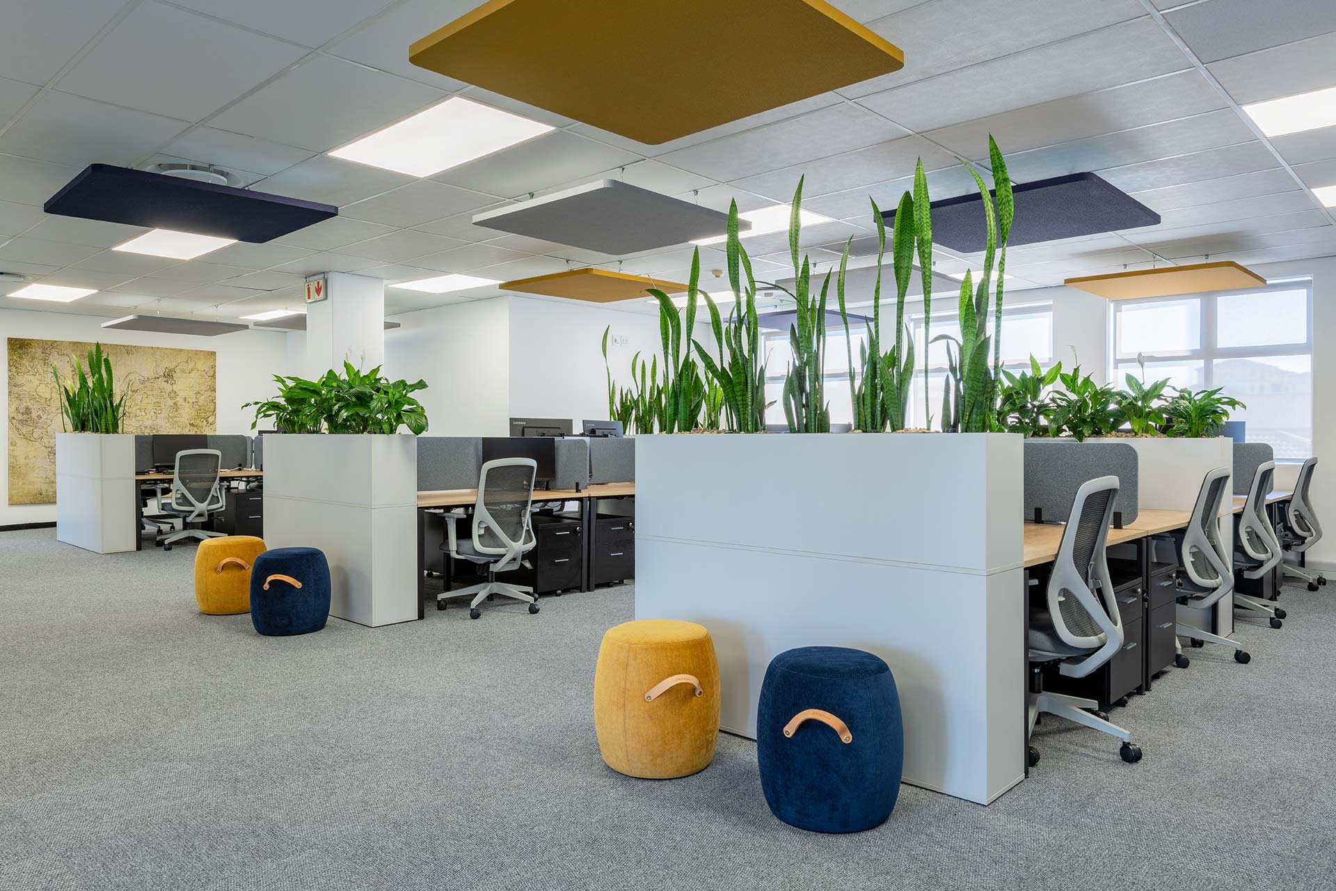 Branded shapes for acoustic baffles at mianzo office cape town