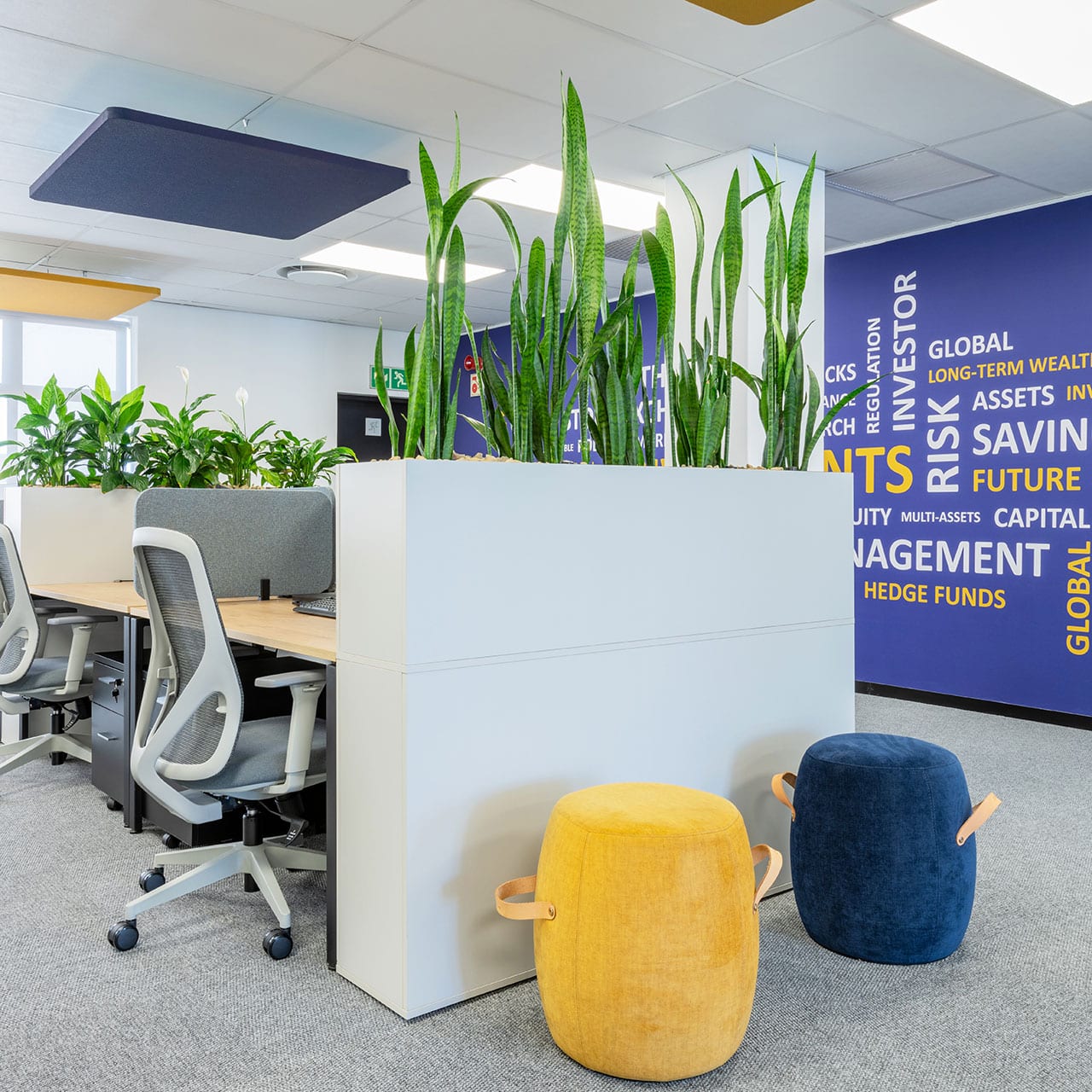 Space planners deliver an open plan office for mianzo