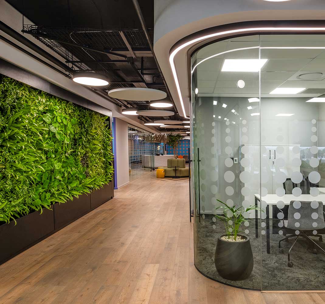 An office fit-out example with glass offices and green wall installation in South Africa