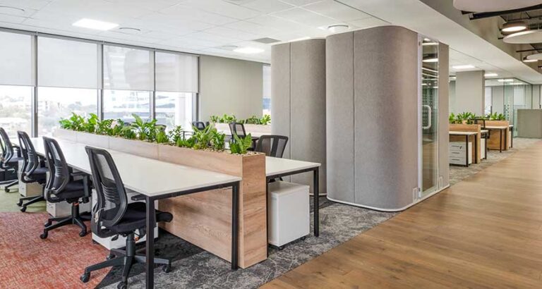 Sustainable office design using natural light and plants for air quality and wellness