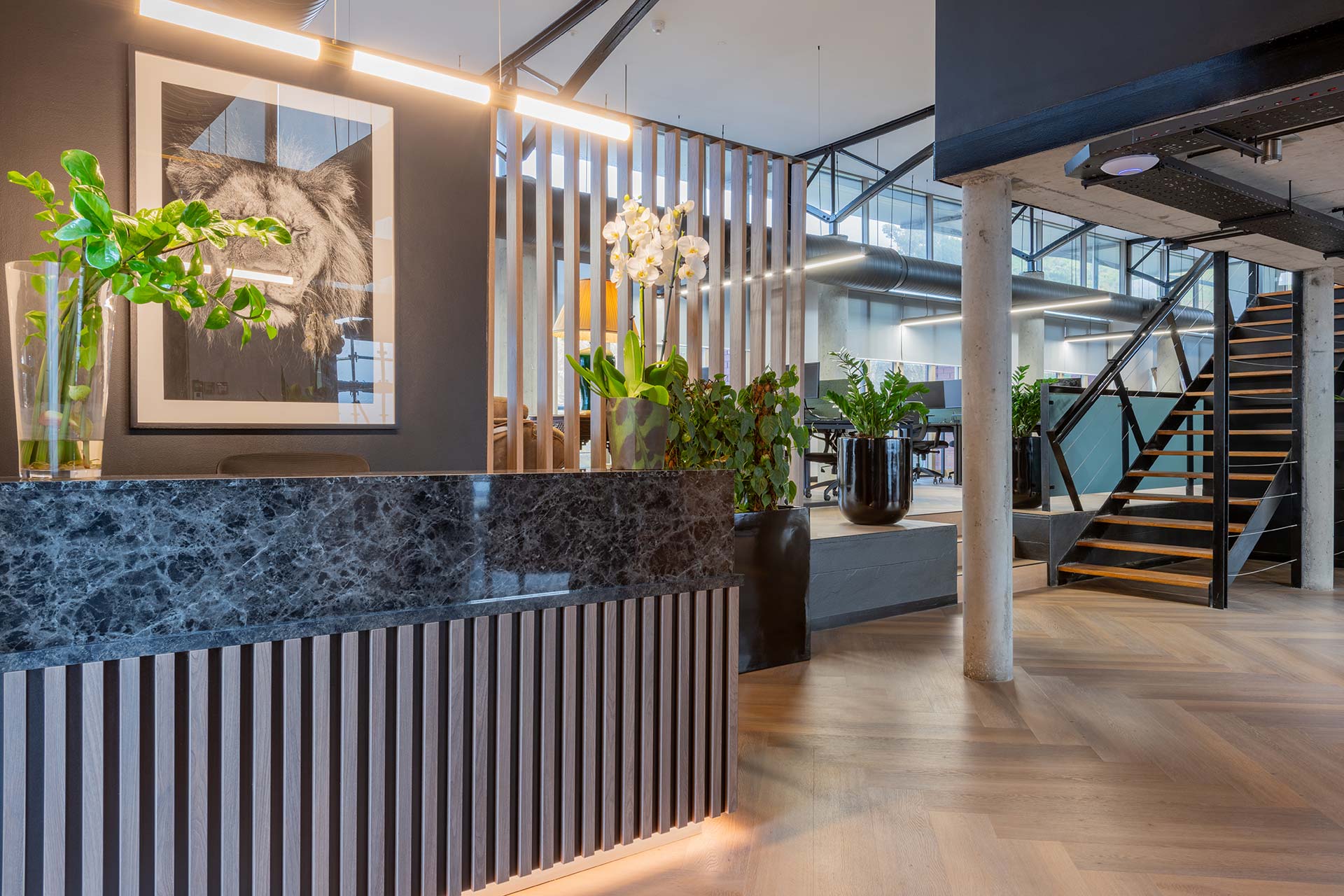 Lionhead Capital luxury office refurbishment with reception desk with marble surface, fluted timber detailing, brass accents and indoor planting