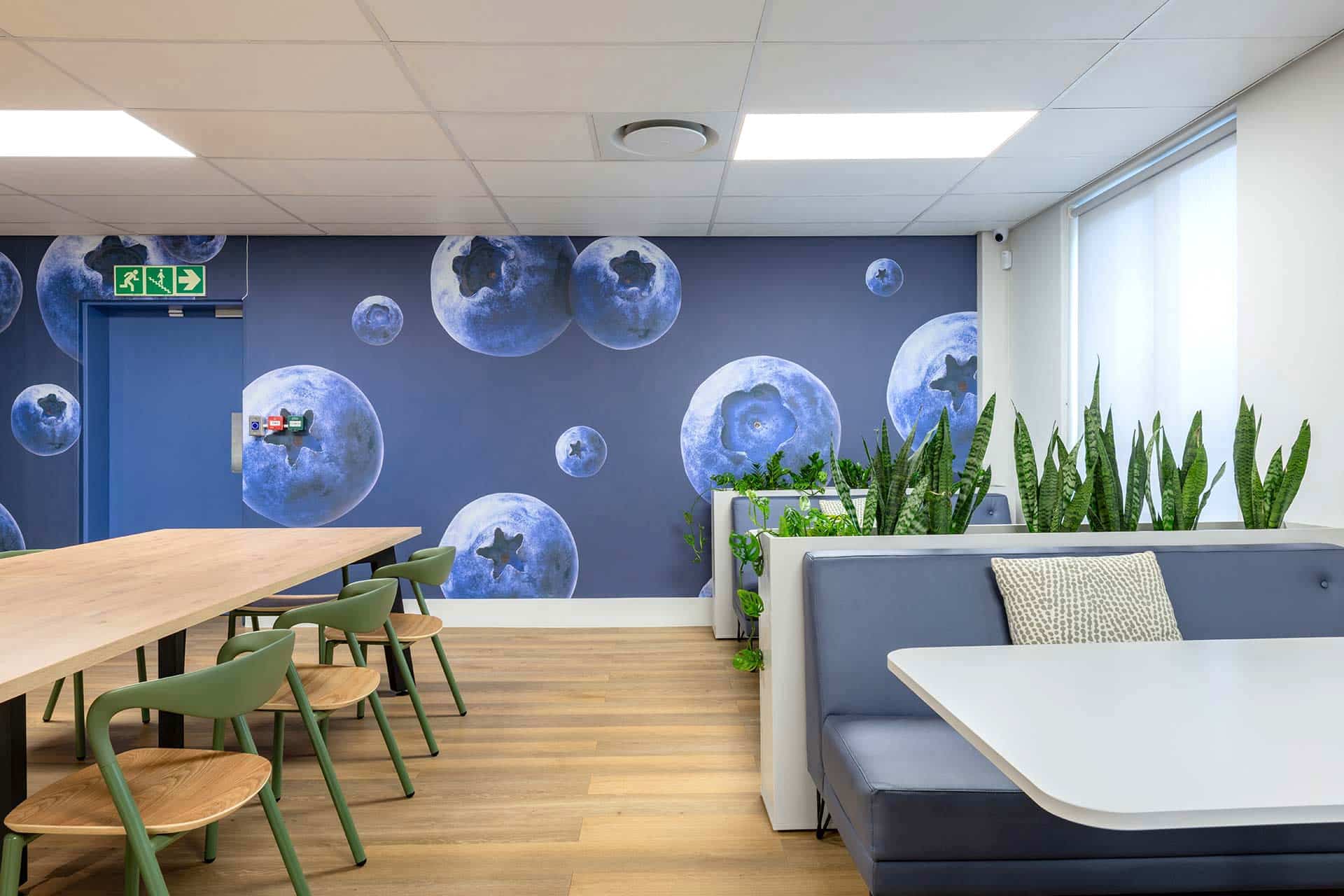 United Exports Paarl Canteen: Modern, flexible seating with blue, wooden, and green decor and planters.